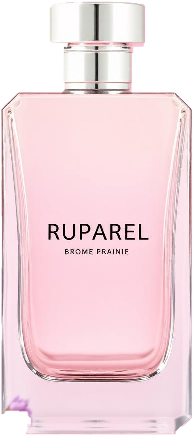 Ruparel