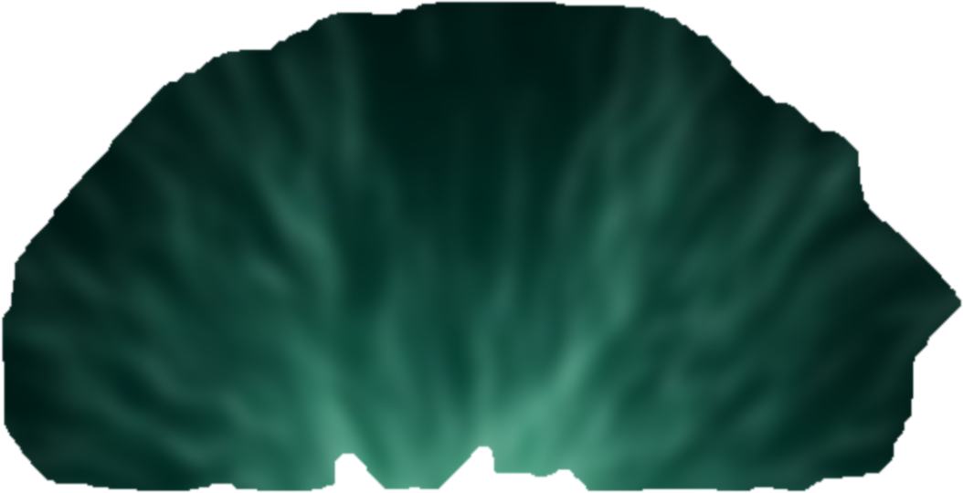 Verte Noir